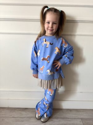 Zestaw bluza tiul i dzwony KONIKI NIEBIESKIE